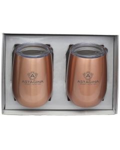 Stainless Steel Wine Tumbler Gift Set