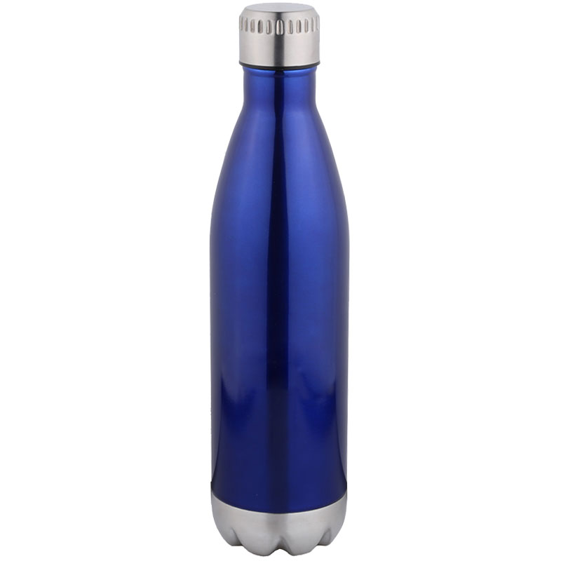 25 oz Stainless Steel Bottle