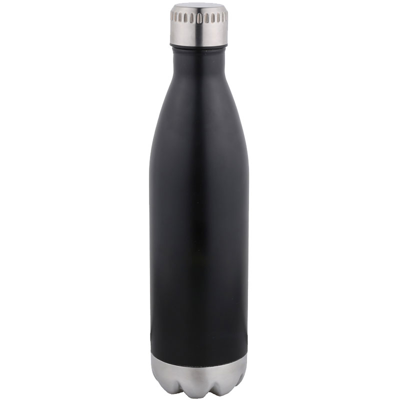 25 oz Stainless Steel Bottle