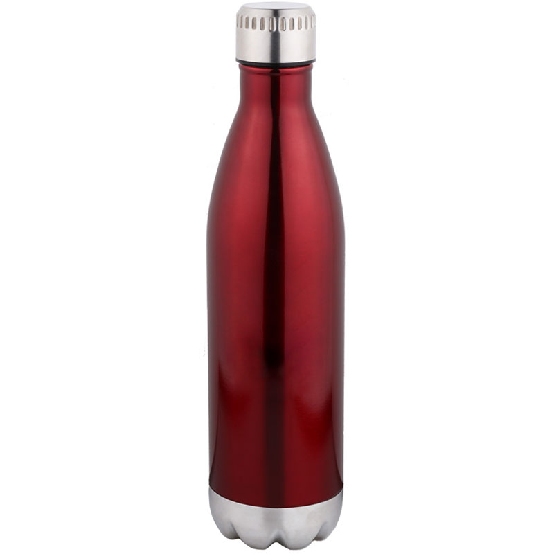 25 oz Stainless Steel Bottle