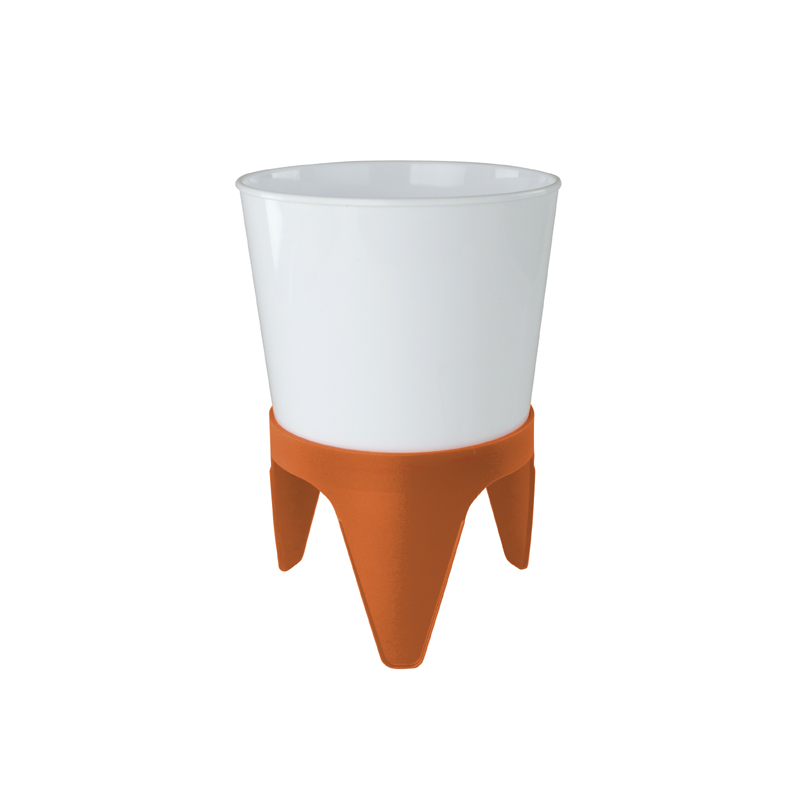 Printed Rocket Cup