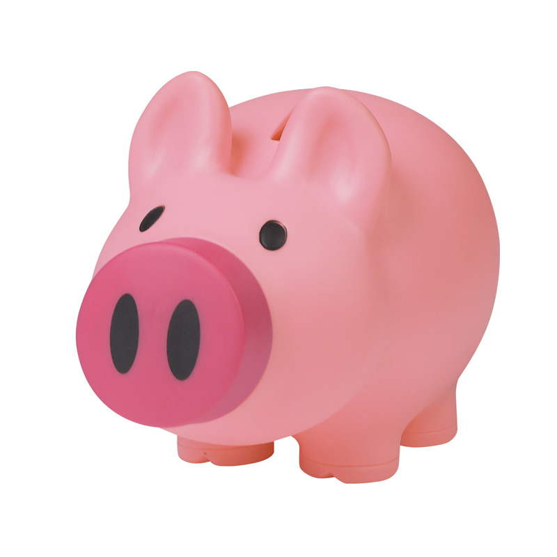 Printed Payday Piggy Bank