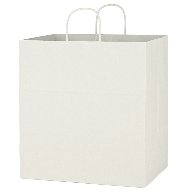 Kraft Paper White Shopping Bag - 14