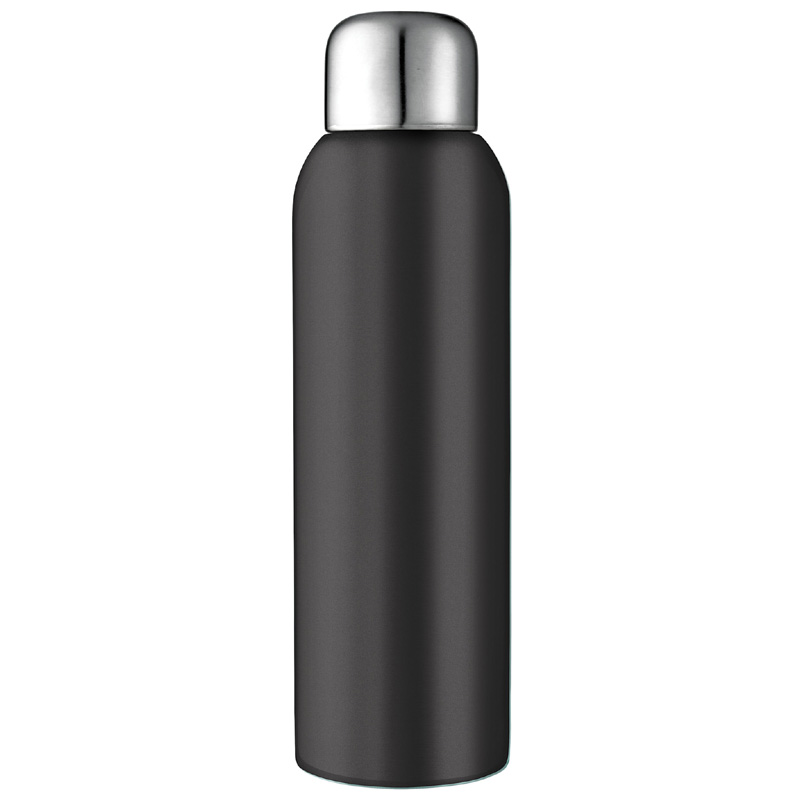 Guzzle 28 oz. Stainless Sports Bottle