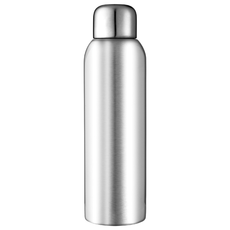 Guzzle 28 oz. Stainless Sports Bottle