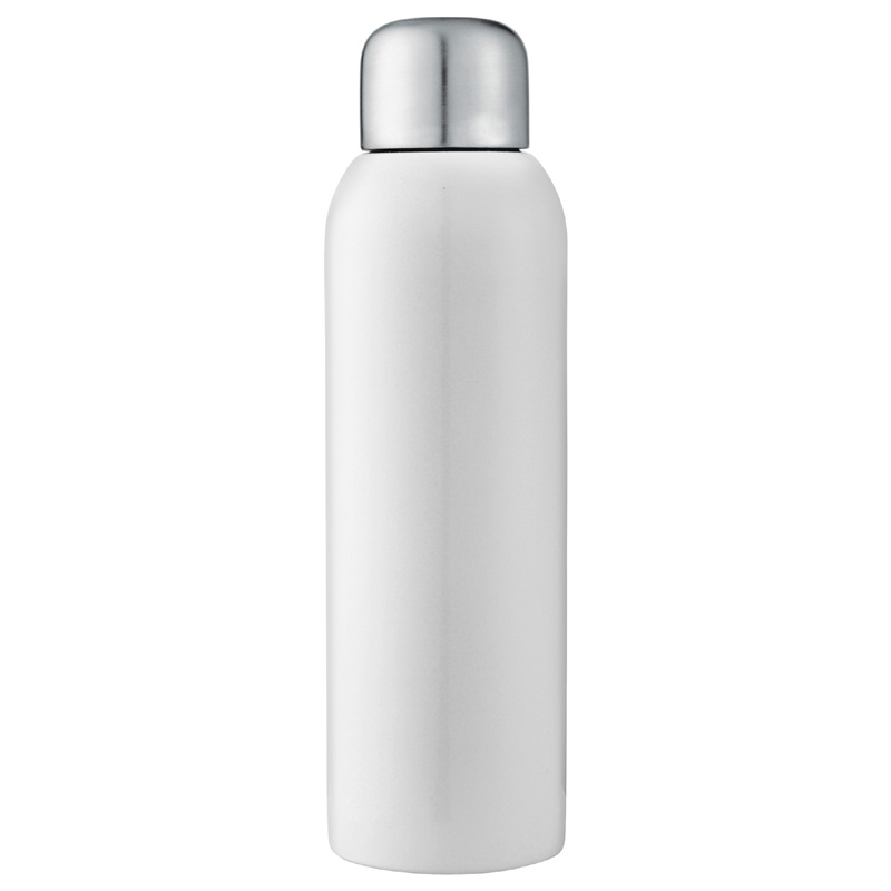 Guzzle 28 oz. Stainless Sports Bottle