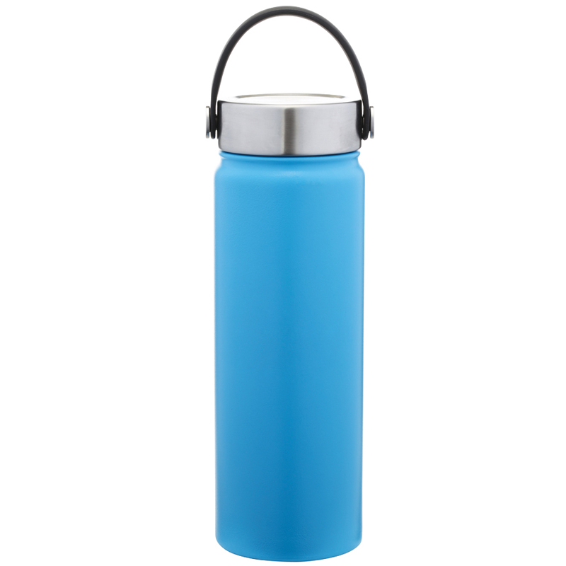 Hydra 20 oz. Stainless Steel Bottle