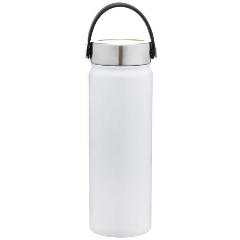 Hydra 20 oz. Stainless Steel Bottle