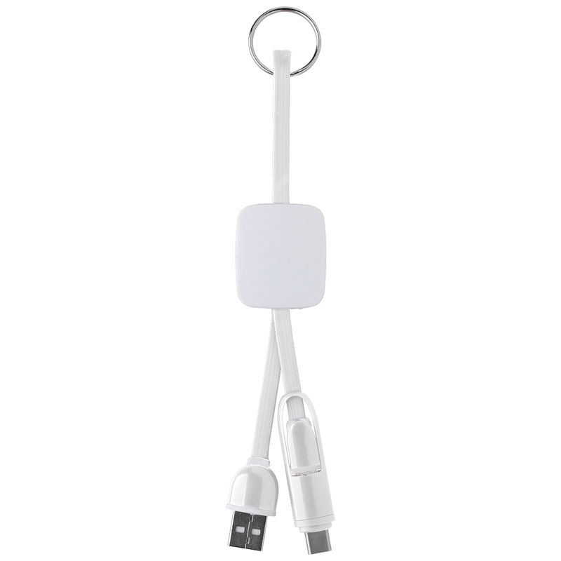 Slide Charging Cables on Key Ring