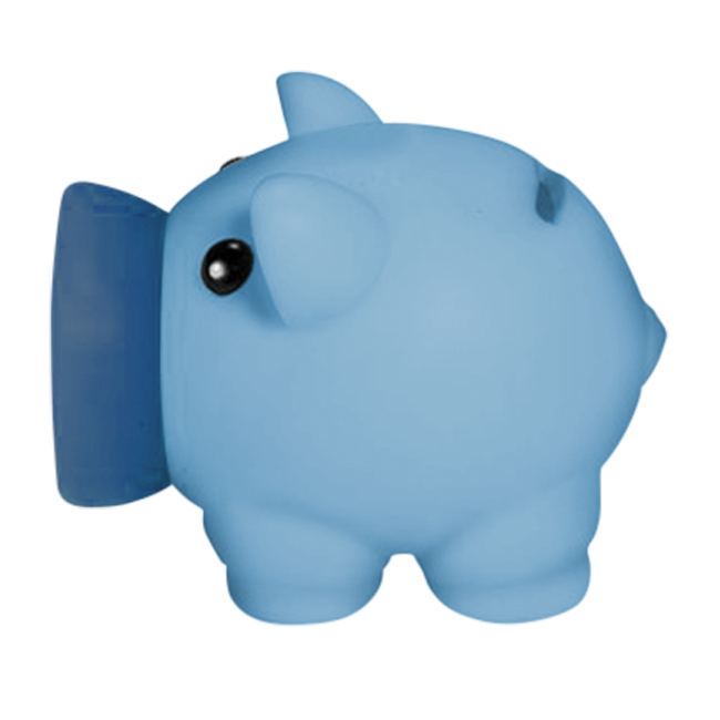 Printed Mini Prosperous Piggy Bank