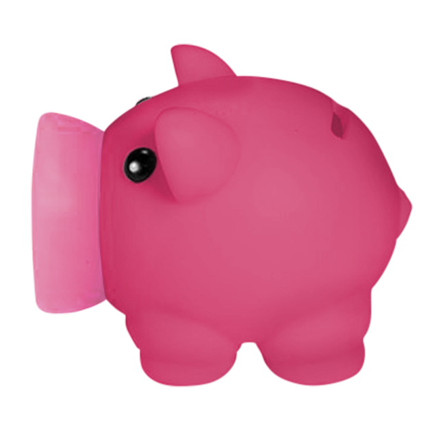 Printed Mini Prosperous Piggy Bank