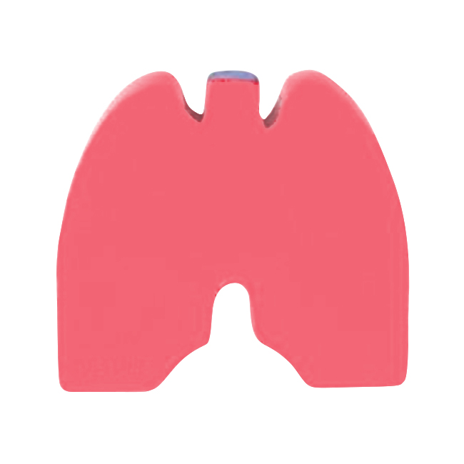 Logo Imprinted Lungs Stress Reliever