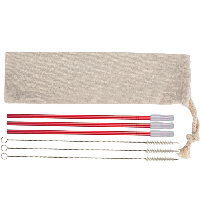 3- Pack Park Avenue Stainless Straw Kit With Cotton Pouch