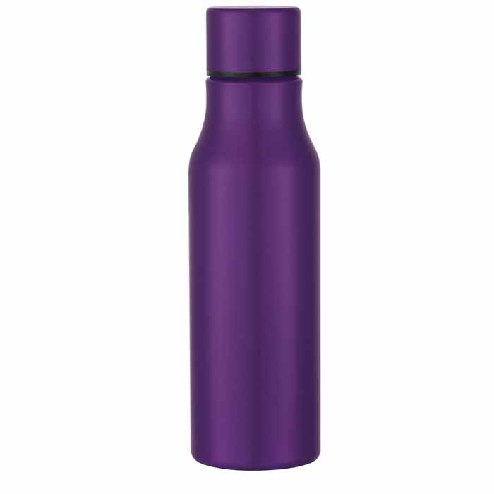 24 Oz. Stainless Steel Bottle