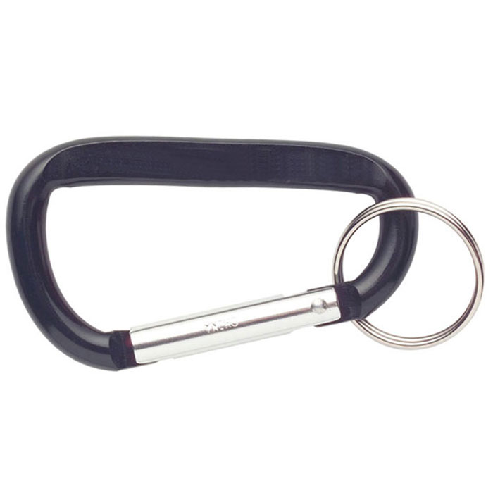 Personalized Carabiners with Keyring