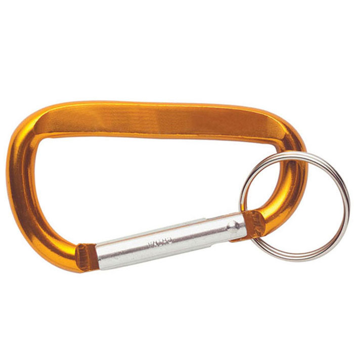 Personalized Carabiners with Keyring