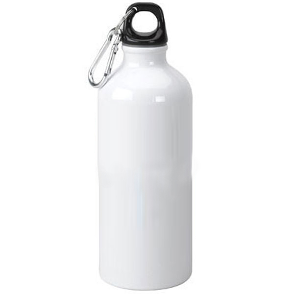 22 oz. Stainless Steel Water Bottle