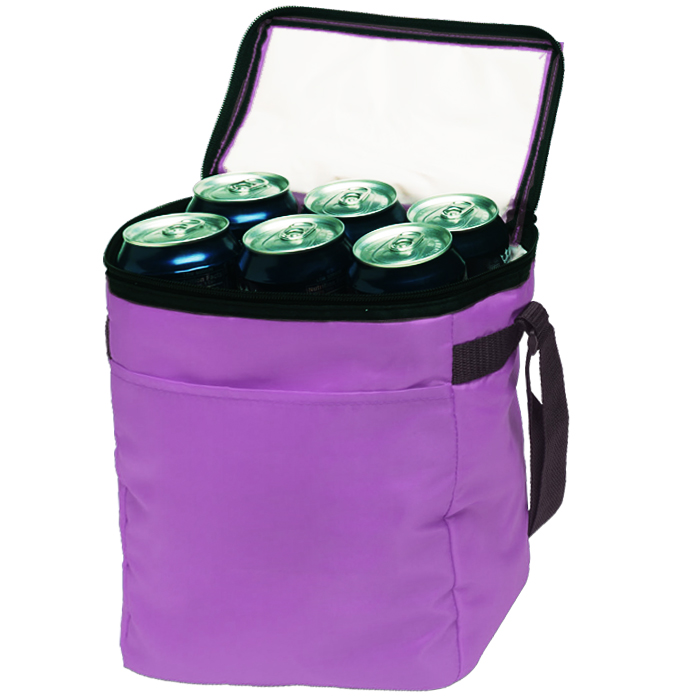 Customizable 12-Pack Cooler