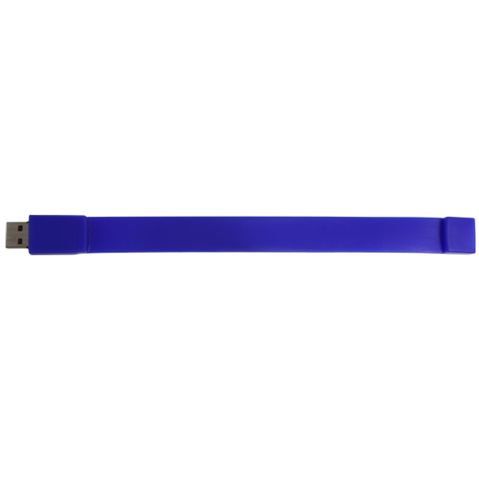 2GB Wristband USB Drive