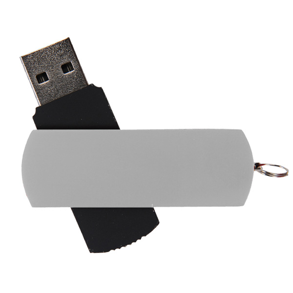 2GB Flip Drive